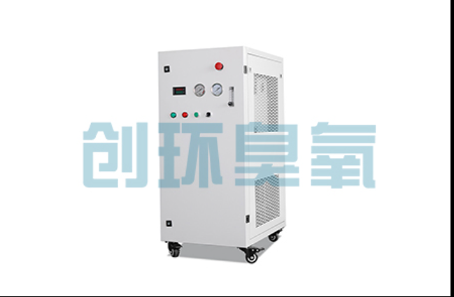 梅州工厂化养鲈必看:2026年臭氧发生器替代传统消毒的最新方案