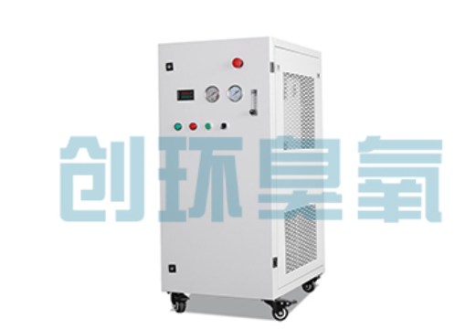 梅州石斑鱼养殖水质调控完整指南：臭氧发生器配置与操作步骤