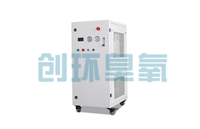 梅州比传统换水更高效？臭氧发生器在石斑鱼养殖中的水质净化原理解析